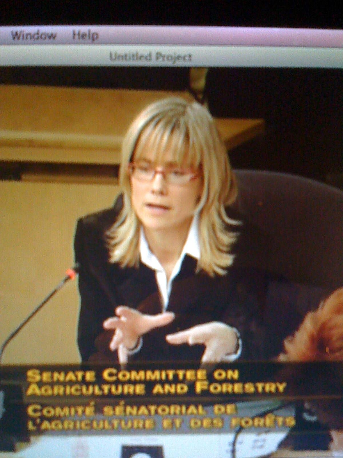 /speaking-at-committee.jpg